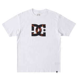 T Shirts DC Shoes DC Star Fill Heritage Blanche Homme | UHW-54267086