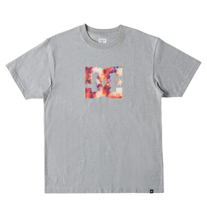 T Shirts DC Shoes DC Star Fill Heritage Grise Homme | OPS-14938316